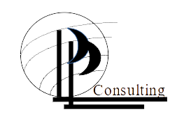 ppm consulting